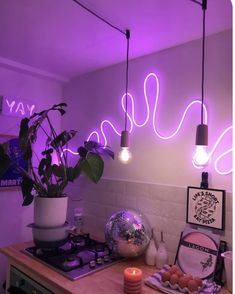 a kitchen counter topped with a potted plant next to a stove top under purple lights