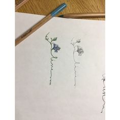 pencils and paper with drawings of flowers on them