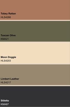 the color scheme for different shades of paint