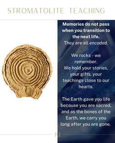 a brochure with the words stromatolite teaching on it and an image of a spiral