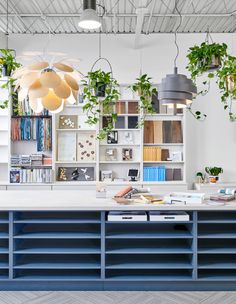 a kitchen with blue cabinets and plants hanging from the ceiling, along with bookshelves