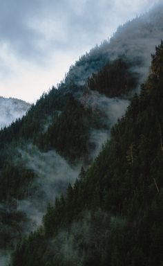 the mountains are covered in fog and low lying clouds, with trees on each side