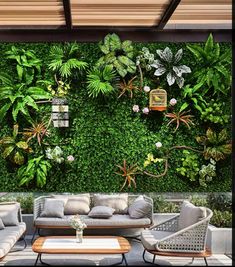 an outdoor living room with plants on the wall and couches in front of it