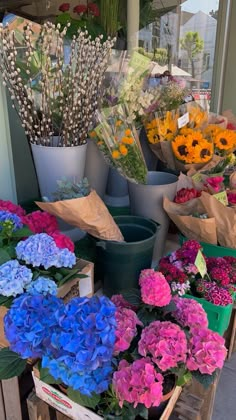 many different types of flowers are on display