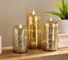 three gold candles sitting on top of a wooden table next to a potted plant