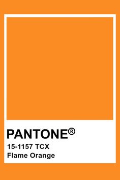 the pantone orange color is shown in this graphic style, and it's very bright