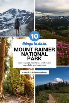 the top ten things to do in mount rain national park