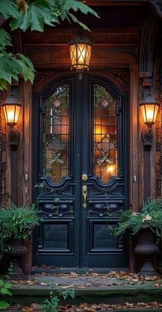 a black front door with two lights on each side and plants in the foreground