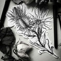 an arrangement of dried flowers on a table with pencils and paper cutting utensils