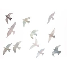 a flock of birds flying in the sky