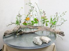 a table with some rocks and plants on it