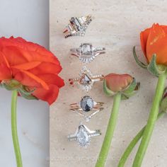 five different types of rings sitting next to an orange flower