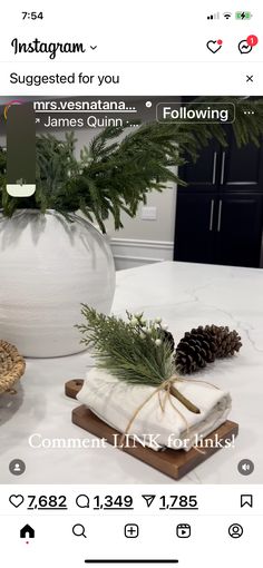 an instagram page with pine cones and napkins on the counter next to a large white potted plant