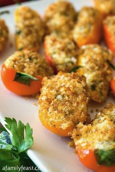 small stuffed tomatoes on a white plate with parmesan cheese and fresh green leaves