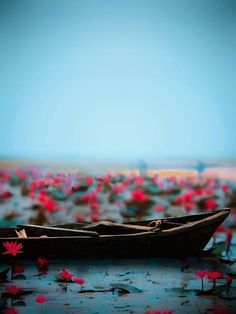 a small boat sitting on top of a lake filled with water lillies and red flowers