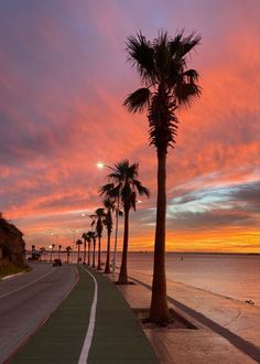 palm trees line the side of a road as the sun sets over the ocean behind them