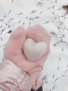 a pink teddy bear with a white heart on it's back in the snow