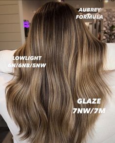 Dark To Honey Blonde Balayage, Low Light Shades Eq Formula, Dark Honey Blonde Balayage, Blonde Balayage Formula, Dark Blonde Formula, Balayage Redken Shades Eq, Honey Blonde Redken Shades Eq Formula, Warm Blonde Shades Eq Formula, Honey Blonde Formula