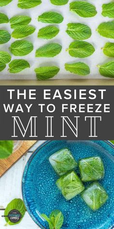 the easy way to freeze mint