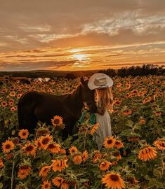 a woman in a hat standing next to a horse in a field of sunflowers