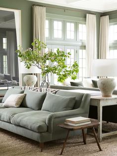 a living room filled with furniture and a plant in the middle of the room on top of a coffee table