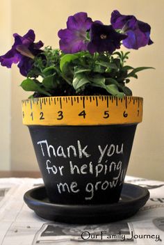 a potted plant with purple pansies in it and a measuring tape on top