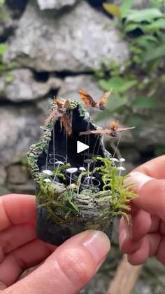 someone is holding a tiny house made out of moss