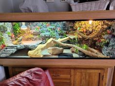 a fish tank with rocks and plants in the bottom half, on top of a wooden cabinet