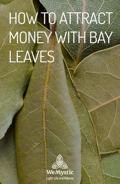 Abundance Magic, Burning Bay Leaves, Money Spells Magic, Spells That Really Work, Money Spells That Work, Spells Magic, Good Luck Spells, Money Spell, Luck Spells