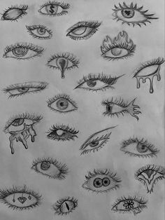 a drawing of many different types of eyes and their features are drawn in pencil on paper