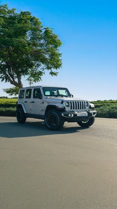 a white jeep is parked in front of a tree