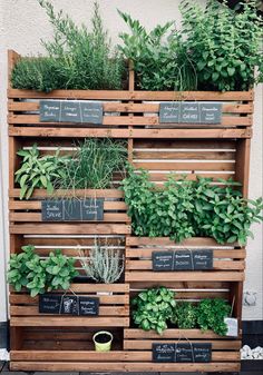 a wooden pallet filled with lots of plants and herbs on top of each other