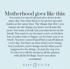 a quote from baby chick that says motherhood goes like this you want it to spend and slow down in the same day