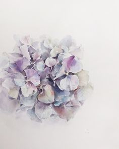 a painting of purple flowers on a white background