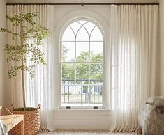 a sheep is standing in front of a window with sheer curtains and a rug on the floor