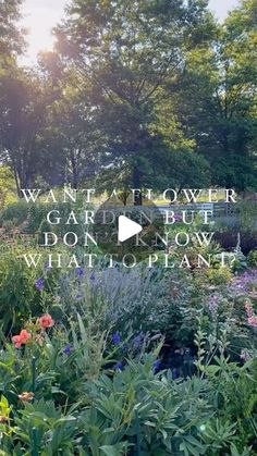 a garden with lots of flowers and trees in the background text reads want that flower garden but don't know what to plant