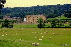 many sheep are grazing in the grass near a large building