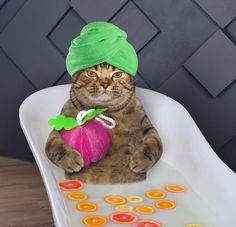 a cat sitting in a bathtub with a green towel on it's head