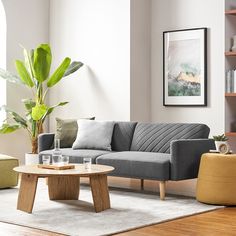 a living room filled with furniture and a potted plant