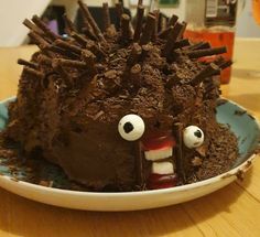 a cake shaped like a hedgehog with chocolate frosting on it's face