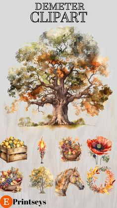 the poster shows different types of trees and flowers