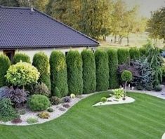 a garden with lots of green grass and trees