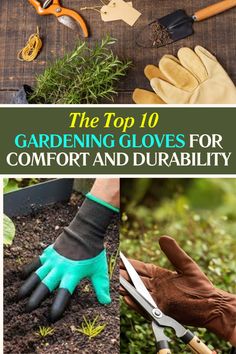 🌿 Explore the top 10 gardening gloves for comfort and durability! From breathable designs to rugged protection, find the perfect pair for your gardening needs. 🧤💪 Discover now and elevate your gardening experience!"
#GardeningGloves#GardenTools#GardeningGear#OutdoorGardening#GardeningEssentials#GardeningLife#DIYGardening#HomeGardening#UrbanGardening#GreenThumb Leather Gardening Gloves, Leather Work Gloves, Mechanic Gloves, Gauntlet Gloves, Gloves Design, Great Gifts For Women, Cool Gifts For Women, Work Gloves