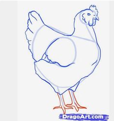 how to draw a chicken step by step