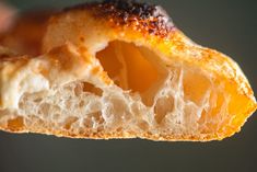 Zoomed in view of a bubbly pizza crust with a 72 hour proof. 72 Hour Pizza Dough Recipe, Bubbly Pizza Crust Dough Recipe, 72 Hr Pizza Dough, Woodfire Pizza Dough Recipe, Wood Fired Pizza Dough Recipe, Bubbly Pizza, Stromboli Recipes