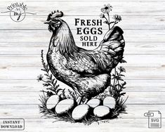 an image of a chicken and eggs on a wooden background with the words fresh eggs sold here