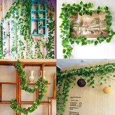 there are three pictures with plants growing on the wall and hanging from shelves in front of them