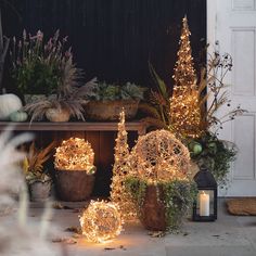 lighted christmas trees and potted plants in front of a door