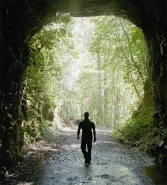 a man walking through a tunnel in the woods