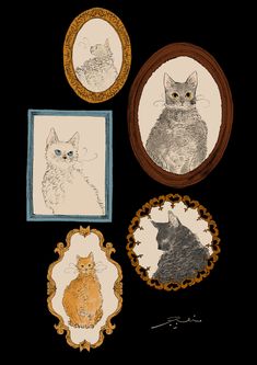 four framed pictures with cats in them on a black background, one has an owl and the other is a cat